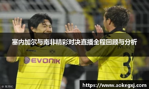 塞内加尔与南非精彩对决直播全程回顾与分析