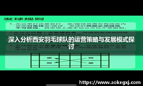 深入分析西安羽毛球队的运营策略与发展模式探讨